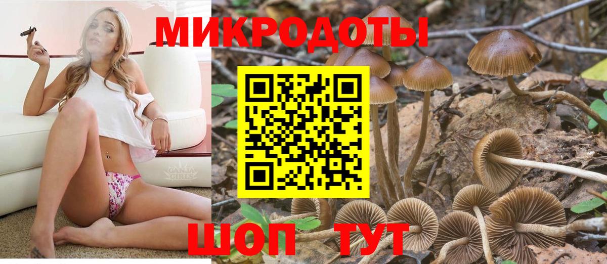 Краснокамск  Псилоцибиновые грибы Cubensis  Вход с VPN 
